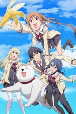 Phim Aho Girl