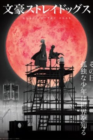 Phim Bungou Stray Dogs 4th Season