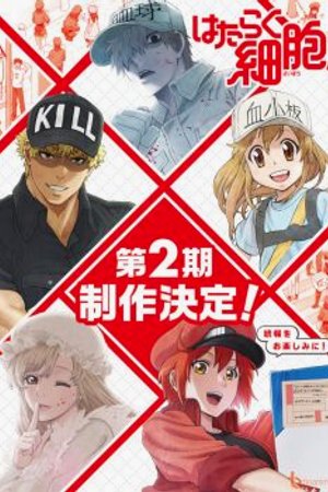 Phim Hataraku Saibou 2nd Season