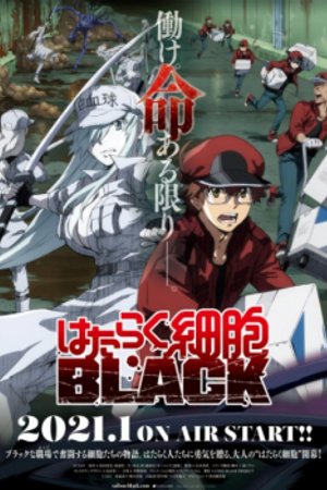 Phim Hataraku Saibou Black (TV)