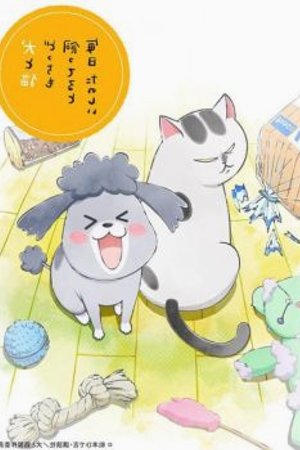 Phim Inu to Neko Docchi mo Katteru to Mainichi Tanoshii