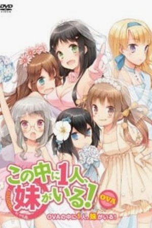 Phim Kono Naka ni Hitori, Imouto ga Iru!: Ani, Imouto, Koibito