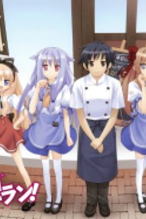 Phim Mayoi Neko Overrun! Specials