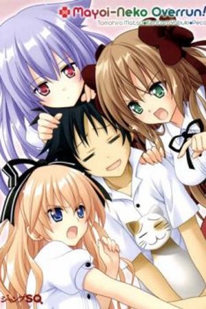 Phim Mayoi Neko Overrun