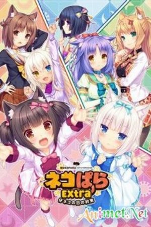Phim Nekopara: Koneko no Hi no Yakusoku