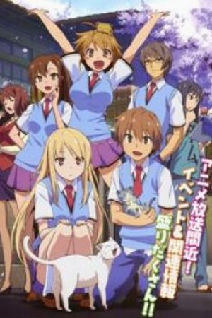 Phim Sakura-sou no Pet na Kanojo
