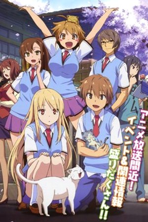 Phim Sakurasou No Pet Na Kanojo