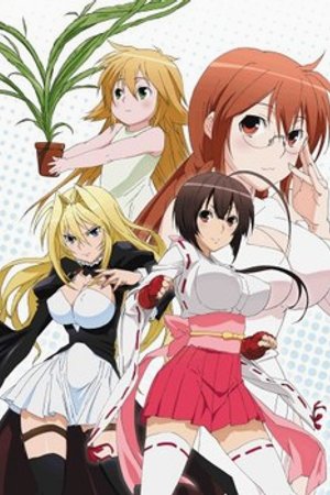 Phim Sekirei: Hajimete no Otsukai