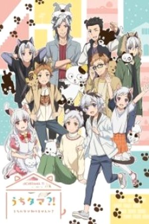 Phim Uchi Tama?! Uchi no Tama Shirimasen ka?